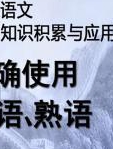 初中语文基础知识积累与应用—正确使用成语、熟语