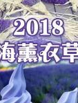 2018上海薰衣草节